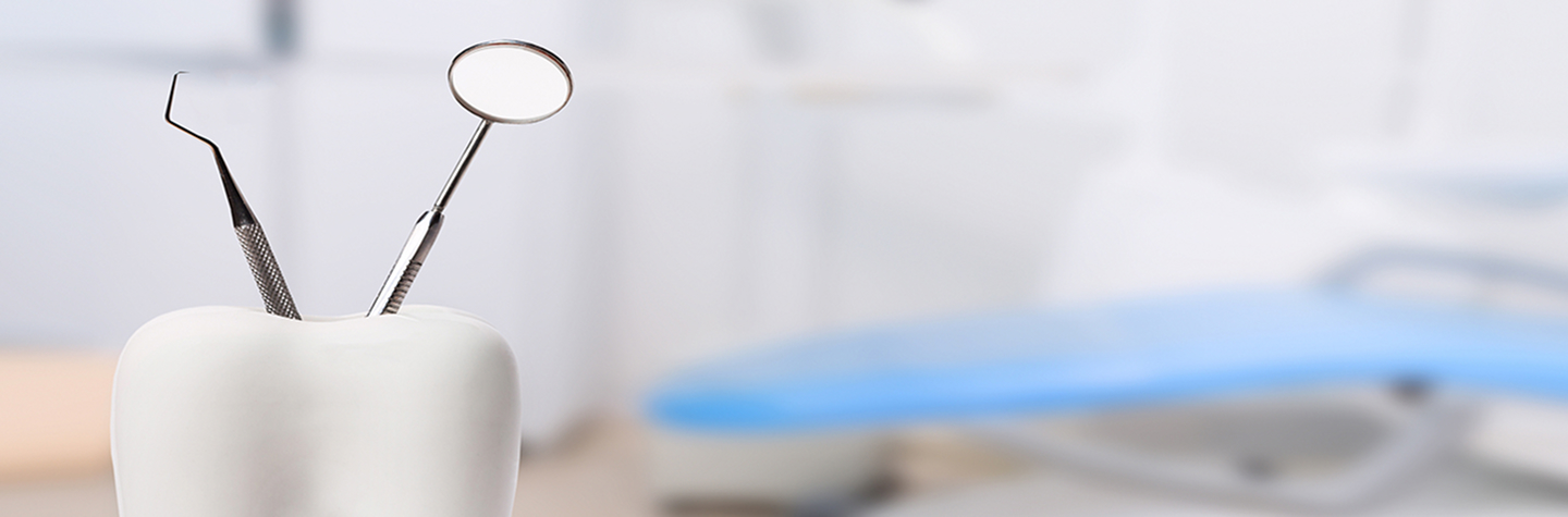 お知らせ・コラム